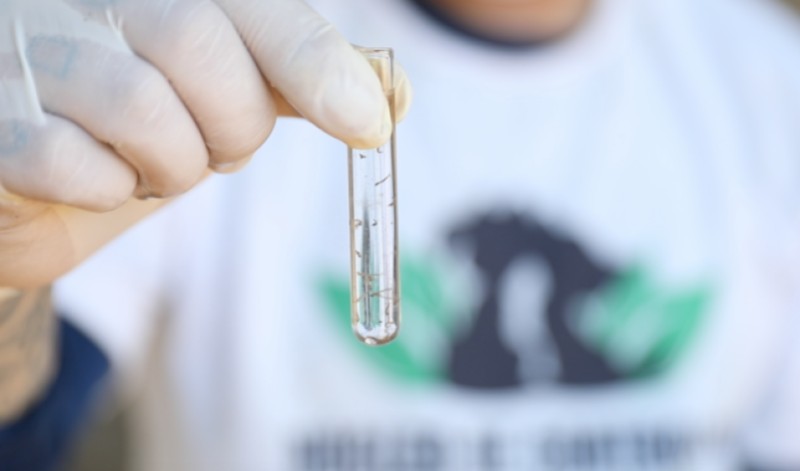 Dengue: 4º LIRAa foi de baixo risco em São João da Barra