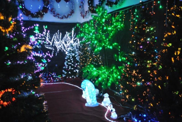 É seguro deixar as luzes de Natal acesas à noite? Especialistas explicam