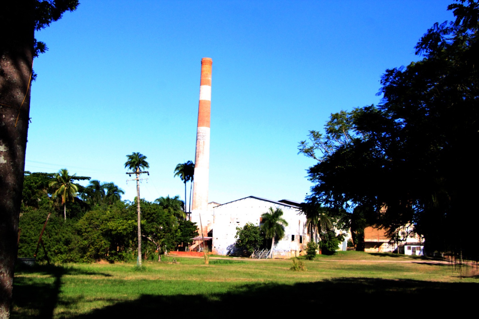 Campos recebe o 1º Interior AgroCoop com três dias de conhecimento, negócios e desenvolvimento para o campo