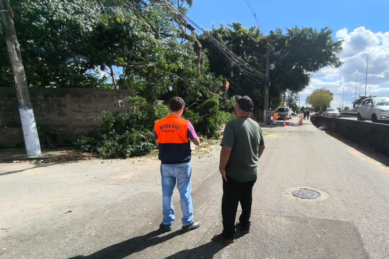 Defesa Civil Municipal promove poda de árvores no Parque Imperial