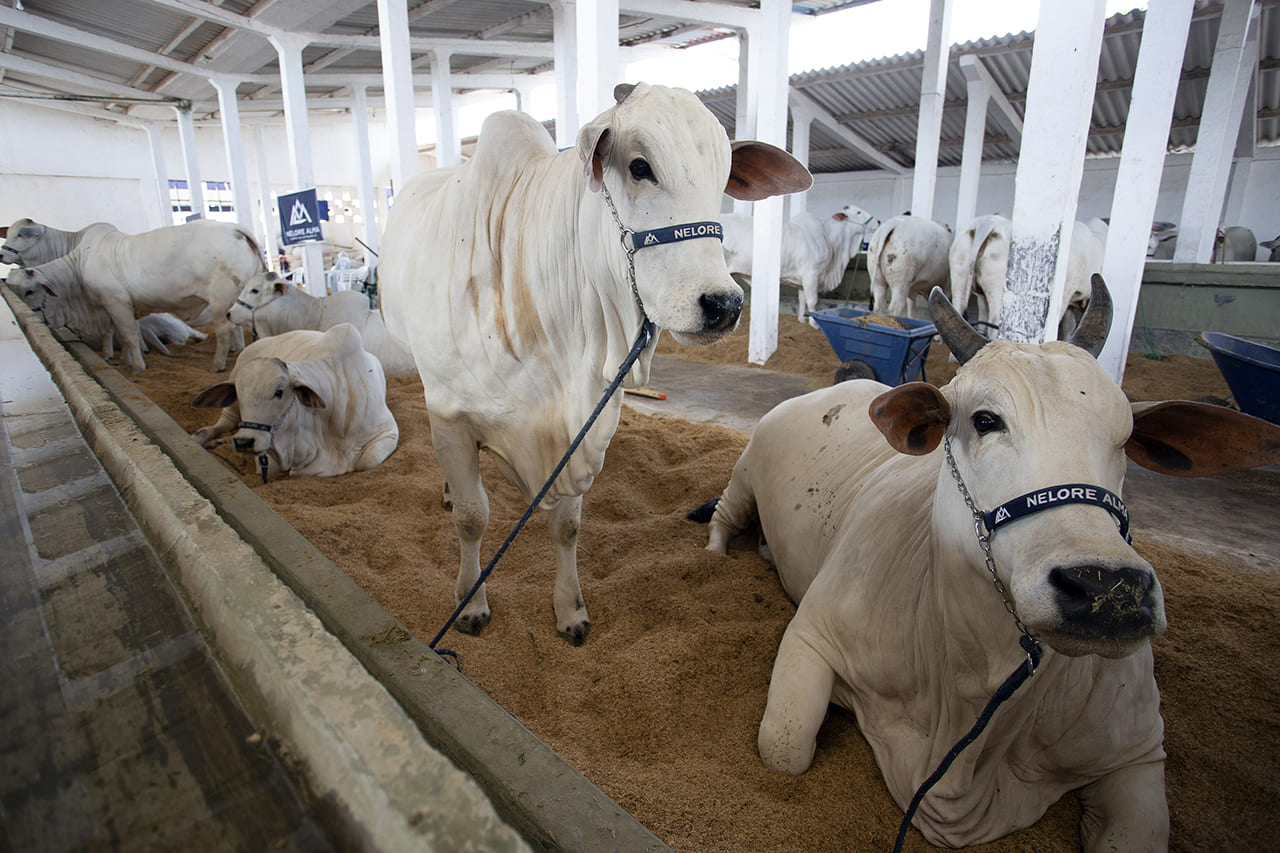 ExpoAgro: Prefeitura presente na abertura oficial nesta quarta e durante os quatro dias da feira