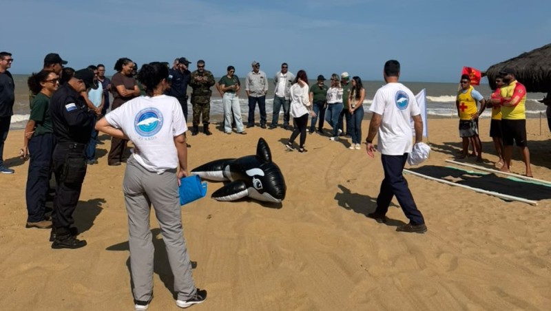 SJB capacita equipes para atendimento a encalhes de mamíferos marinhos